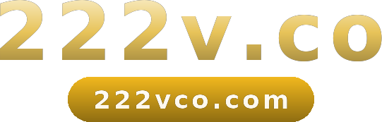 222v.co logo